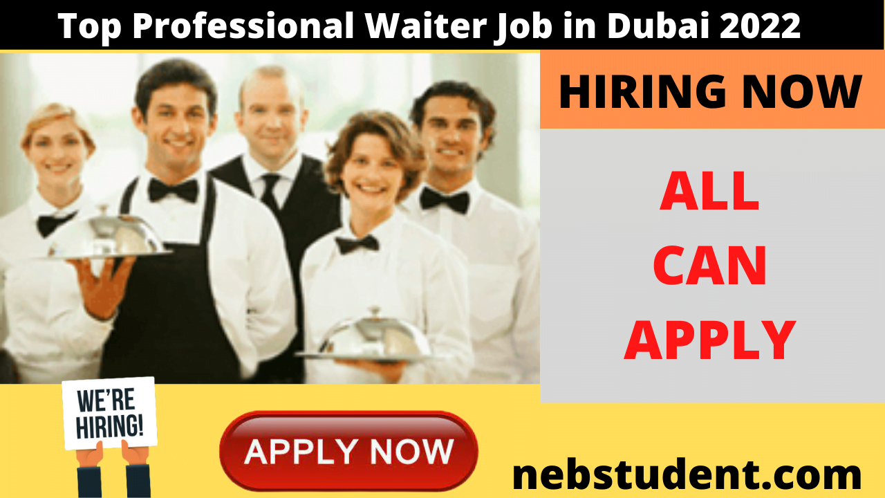 Top Professional Waiter Job in Dubai 2022