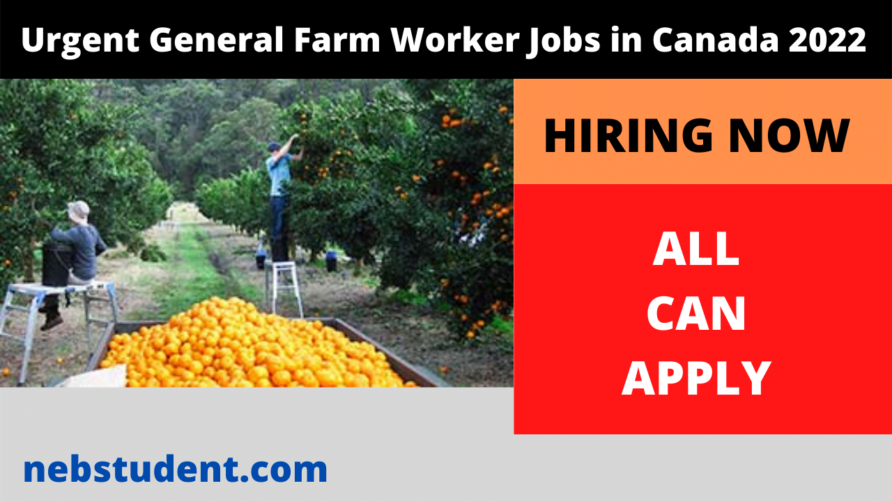 Urgent General Farm Worker Jobs in Canada 2022
