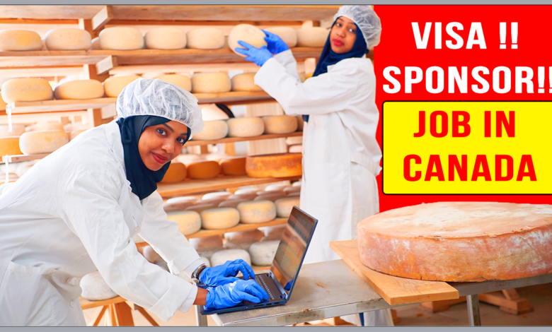 Cheese Factory Worker in Canada with Visa Sponsorship 2023