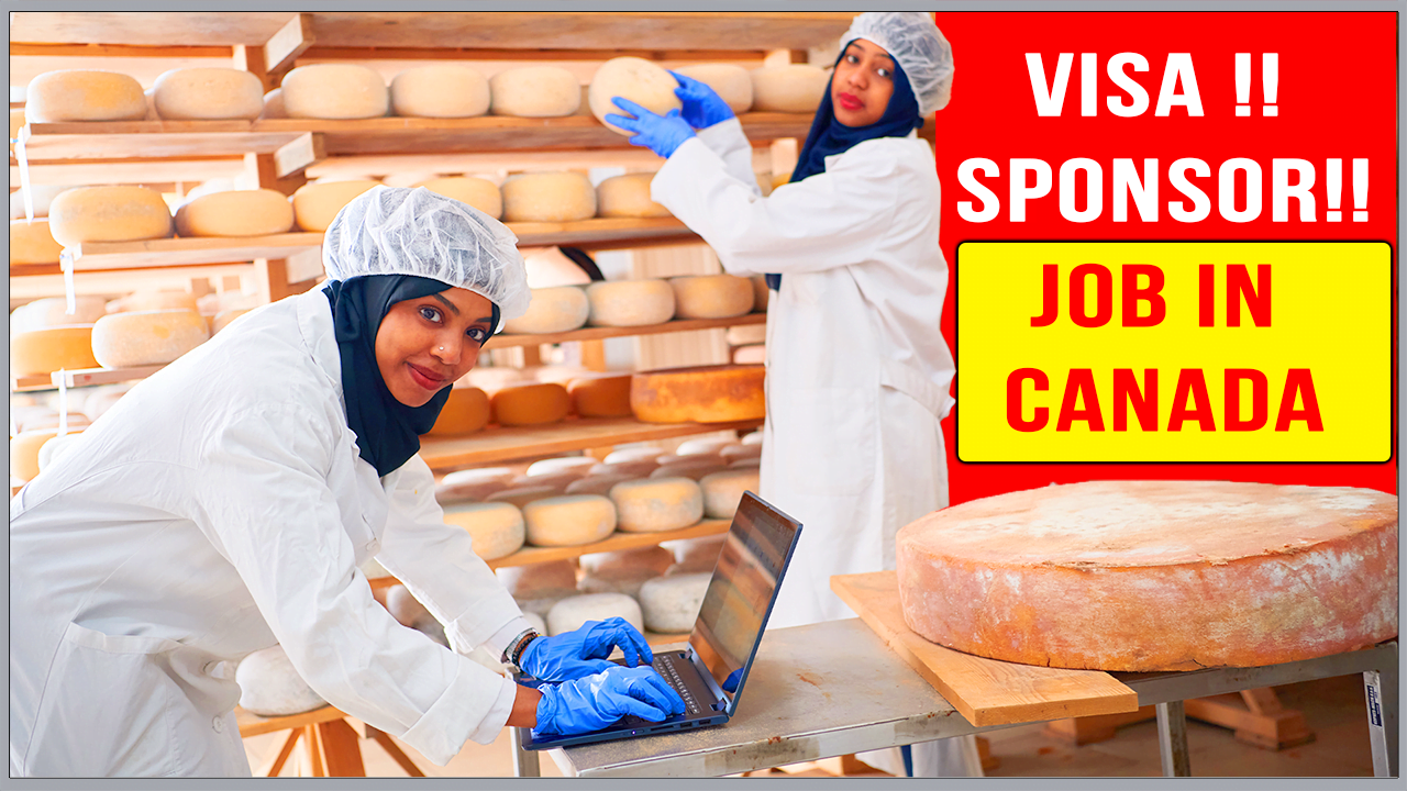 cheese-factory-worker-in-canada-with-visa-sponsorship-2023-neb-student