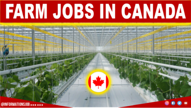 Farm Supervisor Jobs in Canada for the Foreigner 2023