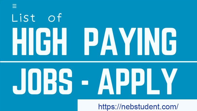 Highest Paying JOBS After Bachelor Degree- 100k+ Incomes