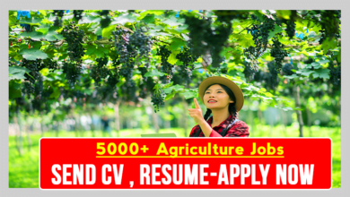 500+Agriculture Jobs in Canada