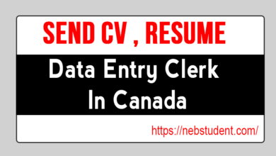 Data Entry Clerk