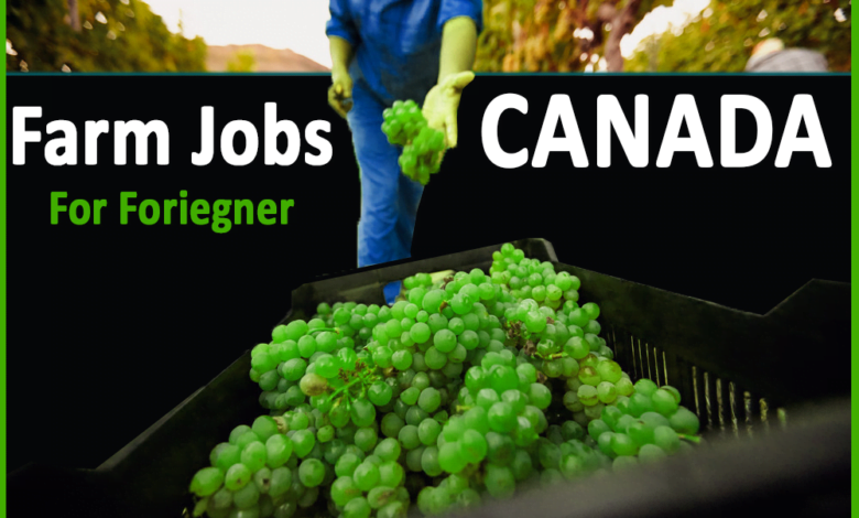 Farm Worker Jobs in Canada for Foreigners