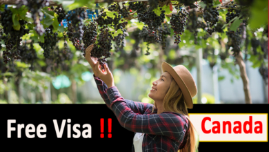 Farm Worker jobs in Canada with Visa Sponsorship