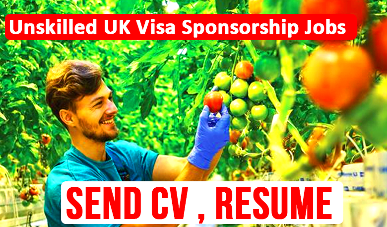 Unskilled UK Visa Sponsorship Jobs In 2023 - Neb Student