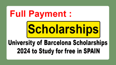 Scholarships from the University of Barcelona for Free Study in Spain in 2024