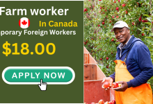 The Complete Guide to Securing LMIA-Approved Jobs in Canada: Focus on General Farm Worker Opportunities