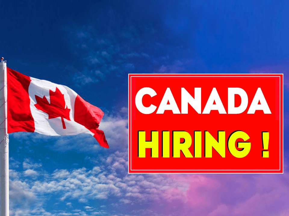 Want to Work in Canada? Discover the Top Companies Hiring Now