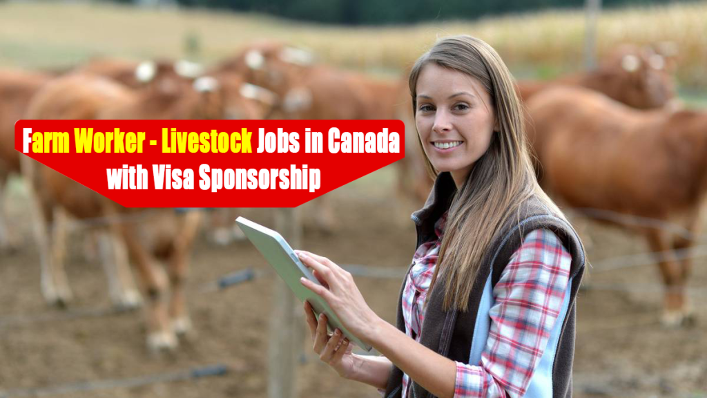 farm-worker-livestock-jobs-in-canada-with-visa-sponsorship-neb-student