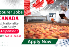 Labourer Jobs