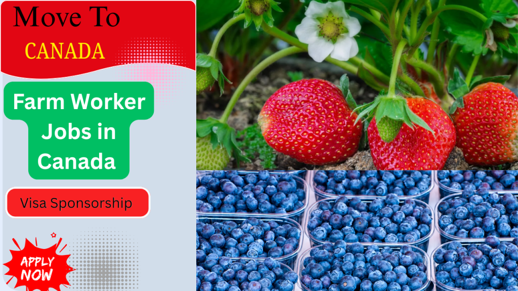 Farm Worker Jobs in Canada 2026 – Visa Sponsorship